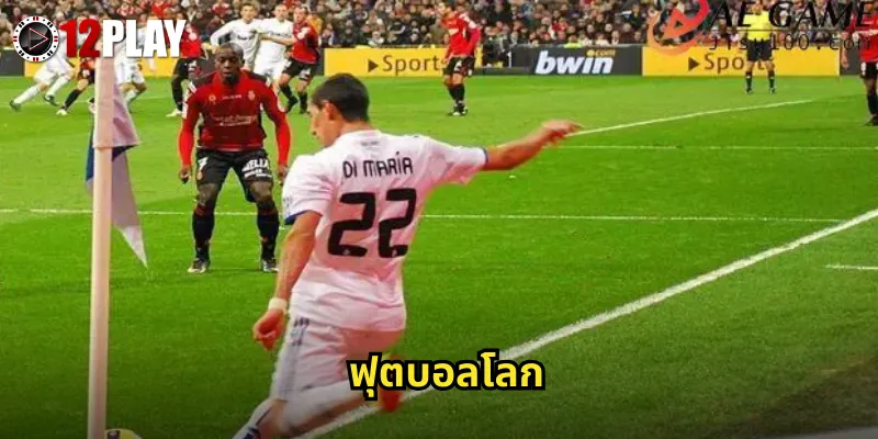 ฟุตบอลโลก